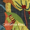 California-09-Koks021