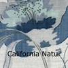 California-12-Natur020