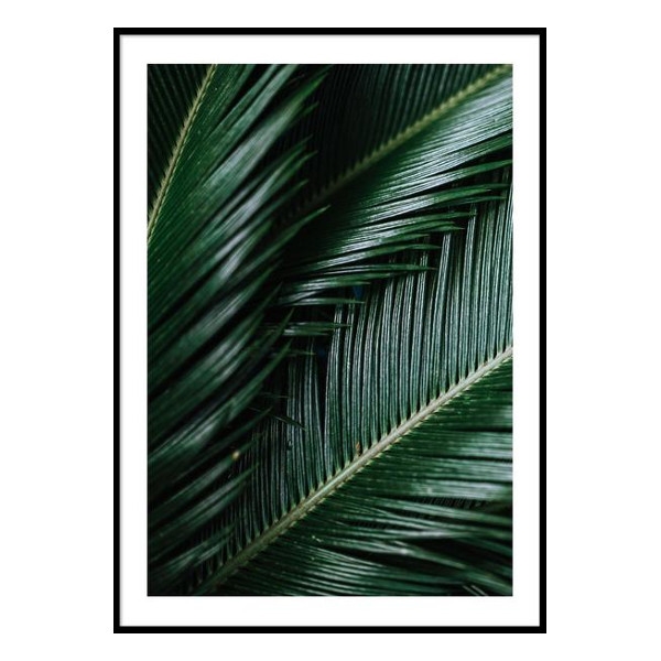 posters-prints-palm-leaves-poster-1_600x600