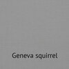 2854-156-geneva-squirrel_02