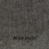 991463-63-Alice-Mole