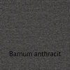 Barnum_Anthracit