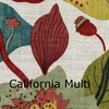 California-16-Multi