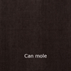 Can Mole