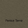 fenice_terra