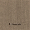 tristan_mole